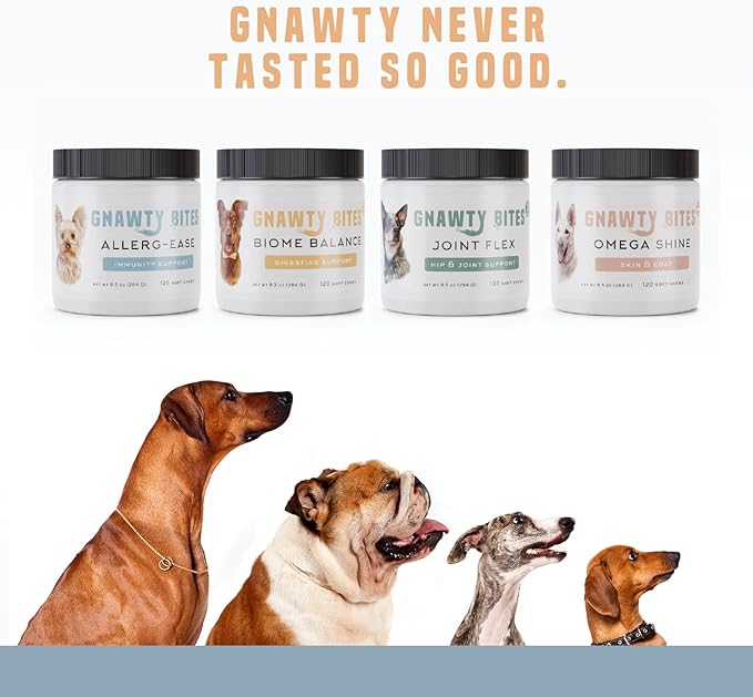 Gnawty Bites Allerg-Ease - Immunity Support Probiotics for Dogs with Kelp, Colostrum, & Bee Pollen - Dog Allergy Relief for Small to Large Breeds - 120 Soft Dog Allergy Chews (264 G)