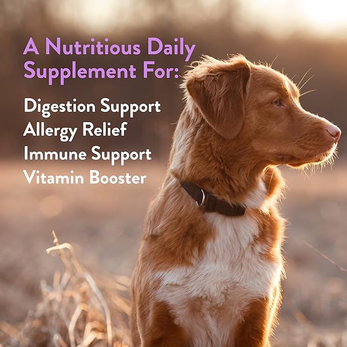 Green Gruff Detox Immunity Dog Probiotics for Digestive Health - Dog Allergy Relief & Immune Support for Dogs - Organic Dog Immune Supplement with Protein, Multivitamin & Omega 3 Fish Oil - 24 Chews