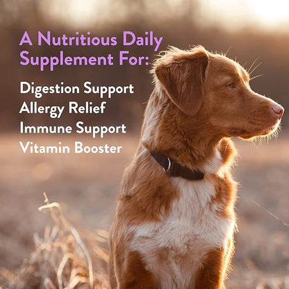 Green Gruff Detox Immunity Dog Probiotics for Digestive Health - Dog Allergy Relief & Immune Support for Dogs - Organic Dog Immune Supplement with Protein, Multivitamin & Omega 3 Fish Oil - 24 Chews