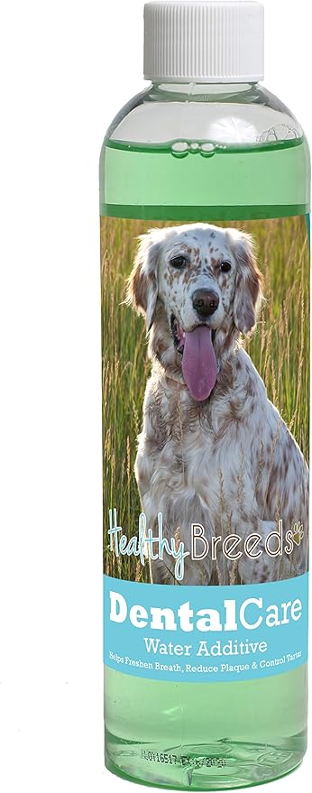 Healthy Breeds Dog Dental Care Water Additive for English Setter - OVER 200 BREEDS - Helps Freshen Breath Reduce Plaque & Control Tartar - Mint Flavor - 8 oz