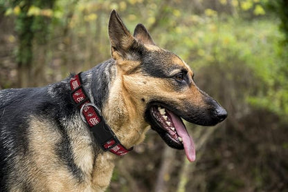 Pets First COY-3036-LGNHL Arizona Coyotes Collar for Dogs & Cats, Large. - Adjustable, Cute & Stylish! The Ultimate Hockey Fan Collar!, Large (18-28" Length x 1" Width)