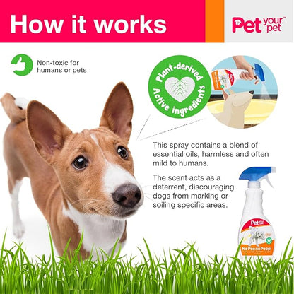No Pee No Poop Dog Potty Training Spray, 16 Fl Oz – Non-Toxic Dog Spray to Prevent Peeing and Pooping – Natural No Marking Scent Spray - Stops Dogs Peeing Indoors/Outdoors