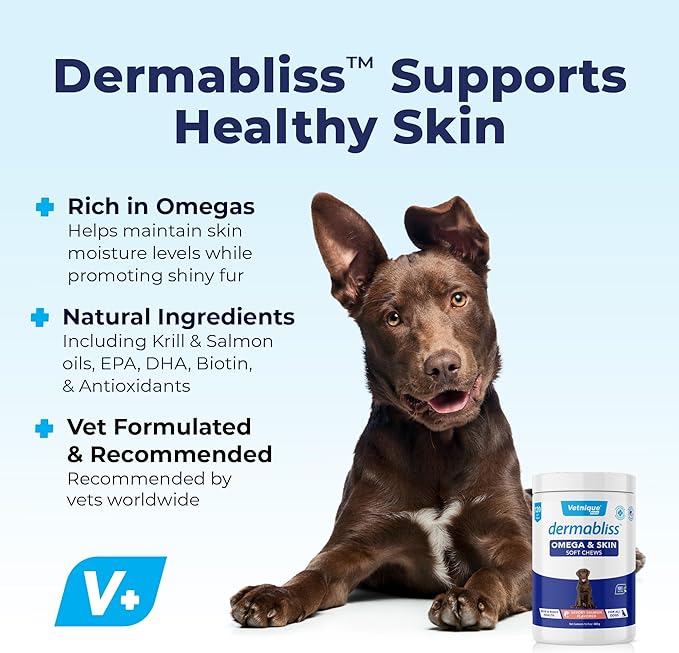 Vetnique Dermabliss Omega & Skin Health Fish Oil for Dogs Soft Chews Healthy Skin & Coat for Dogs with Biotin & DHA - Hickory Salmon Dog Treats (120ct Chews)