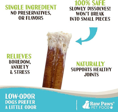 Raw Paws Thin Bully Sticks for Dogs, 6 inch, 20-ct - Free Range Bull Pizzle - Low Odor Mini Bully Sticks for Puppies - Small Bully Sticks - Puppy Bully Sticks for Dogs - Bully Sticks for Small Dogs
