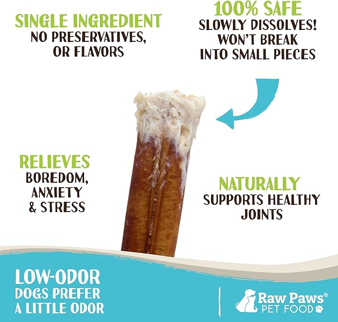 Raw Paws Jumbo Bully Sticks 6 inch, 5-ct - Extra Thick Bully Sticks for Dogs - Grass Fed, No Hormones, Free Range Cows - Pizzle Sticks for Dogs - Long Lasting Bully Bones for Aggressive Chewers