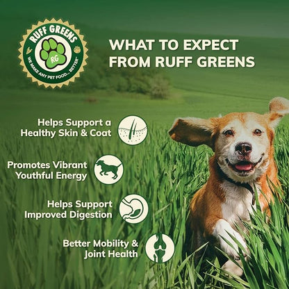 Ruff Greens - Hip & Joint Supplement for Dogs - Probiotics Digestive Enzymes Powder for Mobility Support, Essential Vitamins & Minerals, 13.8 ounce