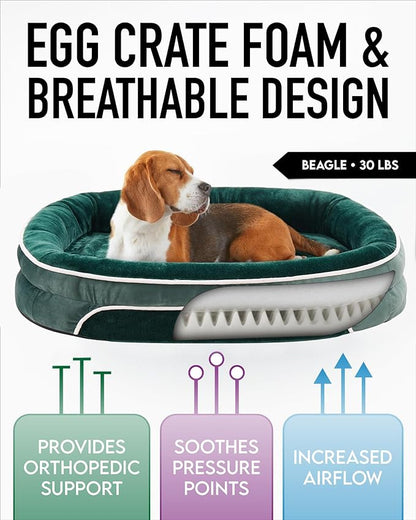 Orthopedic Dog Bed for Large Dogs, Dog Couch Design with Egg Foam Support, Removable, Machine Washable Plush Cover and Non-Slip Bottom with Four Sided Bolster Cushion (Dark Green)