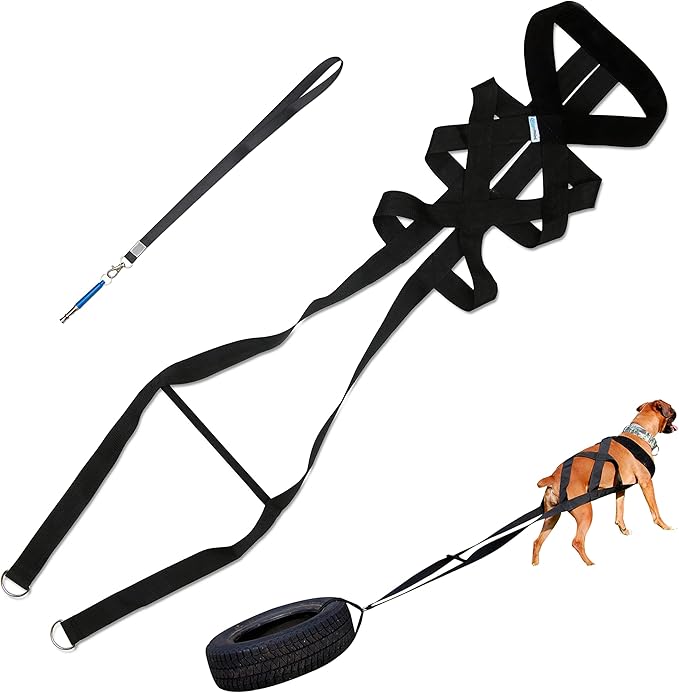Dog Weight Pulling Harness - Dog Pulling, Weight Training, Dog Sledding, Building Muscle, Improved Behavior, Canicross, Competition and Working Dogs - Complete with Dog Whistle
