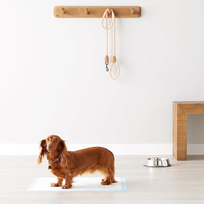 Amazon Basics Dog and Puppy Pee Pads with Leak-Proof Quick-Dry Design for Potty Training, Heavy Duty Absorbency, Regular Size, 24 x 23 Inches, Pack of 50, Blue & White