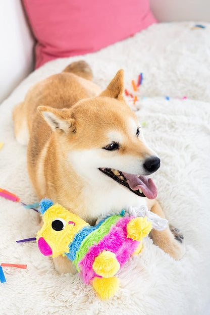 Pearhead Puppy Pinata Dog Toy, Rope Tug Toy for Dogs, Colorful Interactive Dog Toys, Party Pinata Toy for Dogs, Plush Chew Toy, Pet Owner Must Have Toy