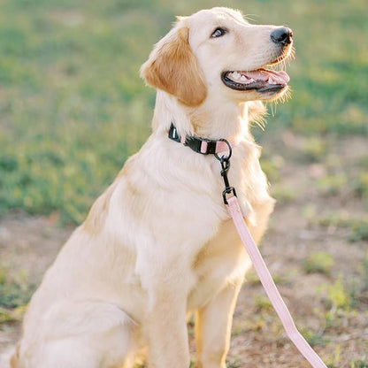 Best Pet Supplies Voyager Reflective Dog Leash with Neoprene Handle, 5ft Long, Supports Small, Medium, and Large Breed Puppies, Cute and Heavy Duty for Walking, Running, and Training - Pink,3/4" x 5ft
