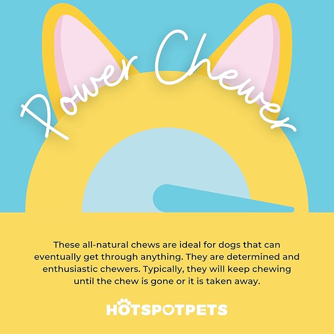 hotspot pets Large Yak Chews for Dogs - Premium Long Lasting Himalayan Dog Chews Bones for Aggressive Chewers - All Natural Rawhide Free Yak Cheese Dog Treats (Large - 6 Pack)