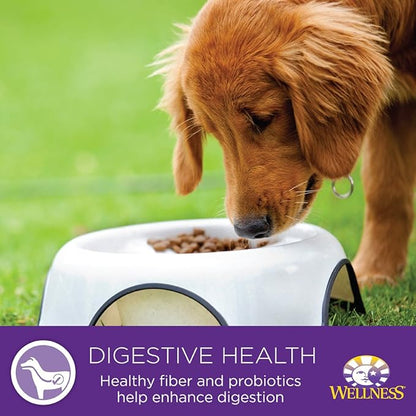 Wellness Petite Entrees Mini Filets Grain Free Natural Wet Small Breed Dog Food, Roasted Chicken & Beef, 3-Ounce Cup