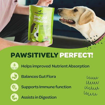 Probiotic Chews for Dogs Gut Health | Tasty Pro and Prebiotics for Dogs Digestive Health Immunity Itchy Skin & Seasonal Allergy Support with Pumpkin Dog Probiotics and Digestive Enzymes | 60 Chews