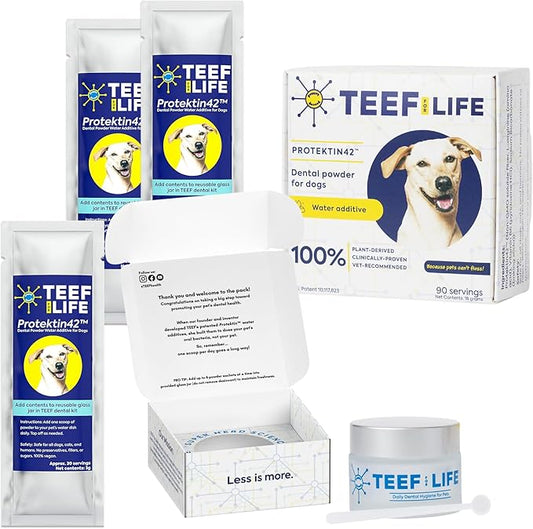 for Life Protektin42 Plant-Derived Dental Water Additive for Dogs, Daily Dental Care, Clinically-Proven Formula Naturally Fights Plaque and Tartar, Dental Kit with 90 Servings