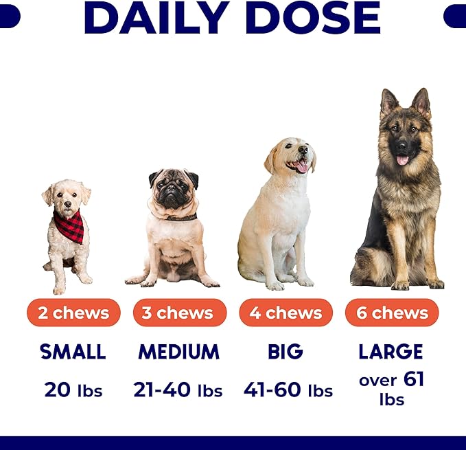 Omega 3 Fish Oil for Dogs (180 Ct) - Skin & Coat Chews - Dry & Itchy Skin Relief + Allergy Support - Shiny Coats - EPA&DHA Fatty Acids - Natural Salmon Oil Chews Promotes Heart, Hip & Joint Support