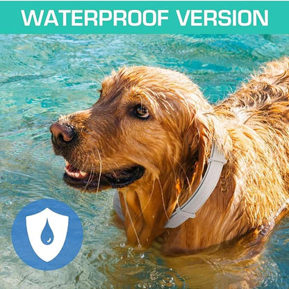 UrbanX Natural Flea Flea & Tick Treatment & Prevention Collar for Medium & Large Dogs, Waterproof, Adjustable (12 Pack)