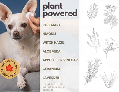 Natural Dog Ear Cleaner Solution - Dog Itchy Ears Treatment - Eliminates Odor & Waxy Buildup - Gentle Dog Ear Wash Formula - Made in Canda by Black Sheep Organics (4 fl oz)