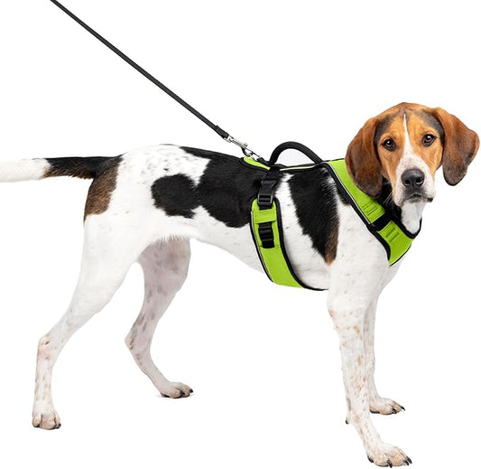 PetSafe EasySport Dog Harness, Adjustable Padded Dog Harness with Control Handle and Reflective Piping, From the Makers of the Easy Walk Harness Apple Green Large