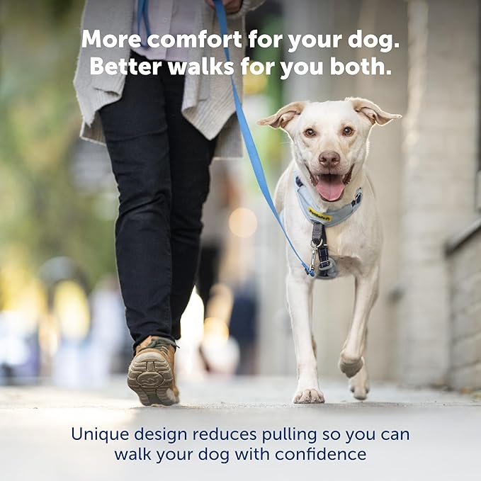 PetSafe Easy Walk Comfort No-Pull Dog Harness Full-Body Padding - Better Walks on The First Use - 5 Points of Adjustment Small/Medium, Blue