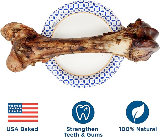 Best Bully Sticks Meaty Monster Jumbo Dog Bone - All-Natural, USA Baked Large Dog Bone Chew - Promotes Dental Health - Single-Ingredient, 100% Grass-Fed Beef Femur Bone