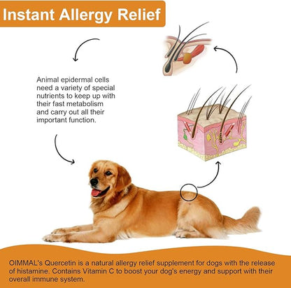 Quercetin for Dogs, Dog Quercetin with Vitamin C Supports Dogs Allergy Relief, Support Balanced Immune System, Pet Supplement Quercetin for Dog Allergies, Bacon Flavor - 1 Pack 60ml / 2.02oz