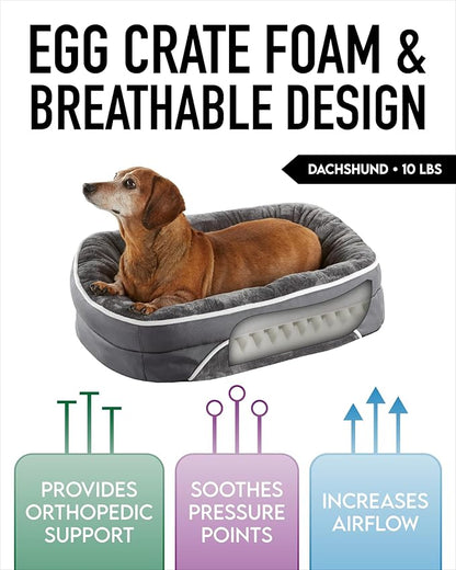 Orthopedic Dog Bed for Small Dogs, Dog Couch Design with Egg Foam Support, Removable, Machine Washable Plush Cover and Non-Slip Bottom with Four Sided Bolster Cushion (Gray)