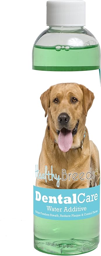 Healthy Breeds Dog Dental Care Water Additive for Labrador Retriever - Helps Freshen Breath, Reduce Plaque & Control Tartar - Mint Flavor - 8 oz