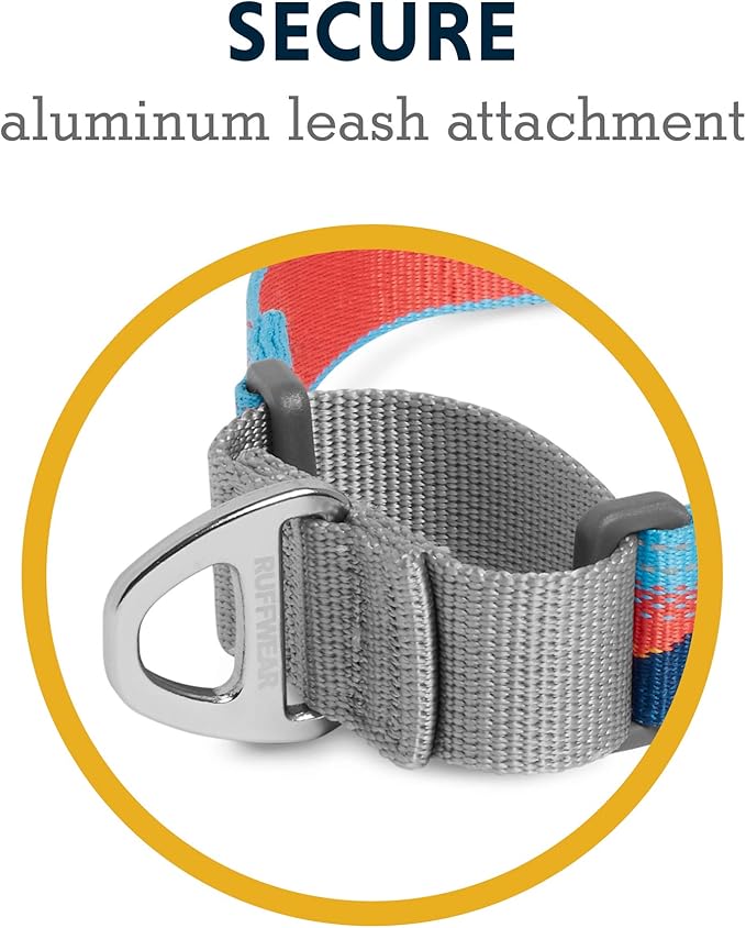 Ruffwear, Web Reaction Dog Collar, Martingale Collar for On-Leash Walking, Sunset, 20"-23"