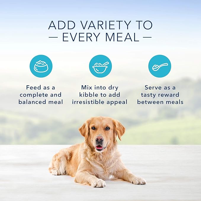 Blue Buffalo Family Favorites Natural Adult Wet Dog Food, Sunday Chicken 12.5-oz can (Pack of 12)