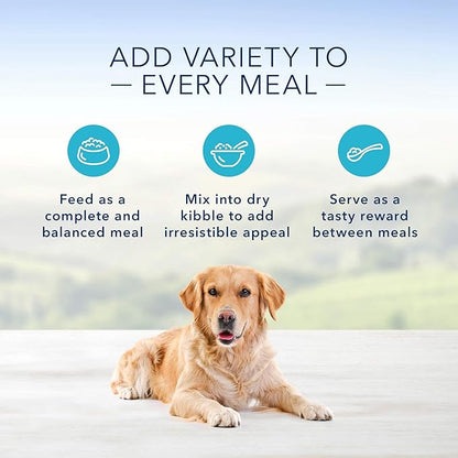 Blue Buffalo Family Favorites Natural Adult Wet Dog Food, Sunday Chicken 12.5-oz can (Pack of 12)