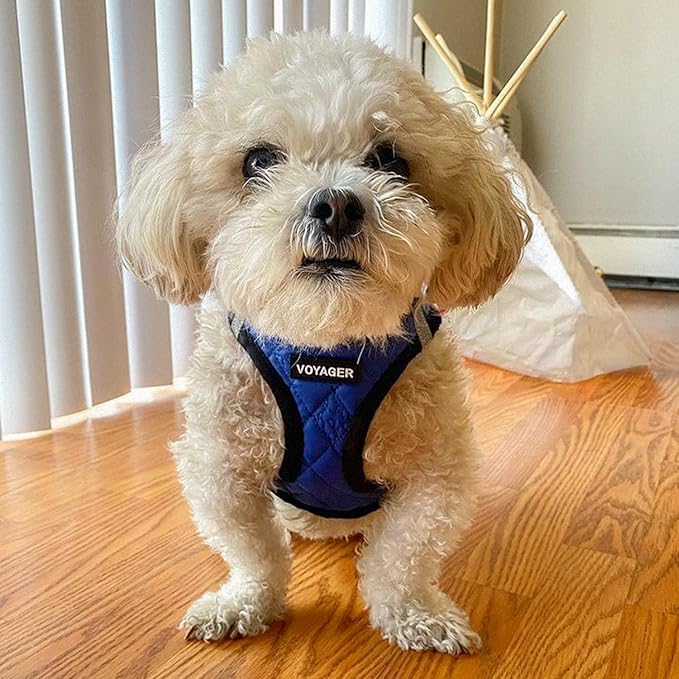 Voyager Step-In Plush Dog Harness – Soft Plush, Step In Vest Harness for Small and Medium Dogs by Best Pet Supplies - Harness (Royal Blue Faux Leather), M (Chest: 16 - 18")