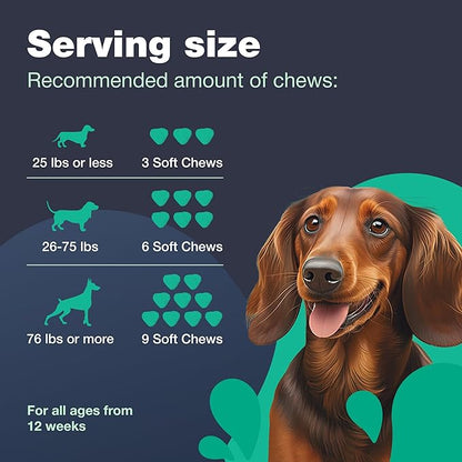 Zip-Lock, No Poo Probiotic Dog Chews - Digestive Strength, Gut Health Support - Dog Supplement for General Health Support - Skin & Coat
