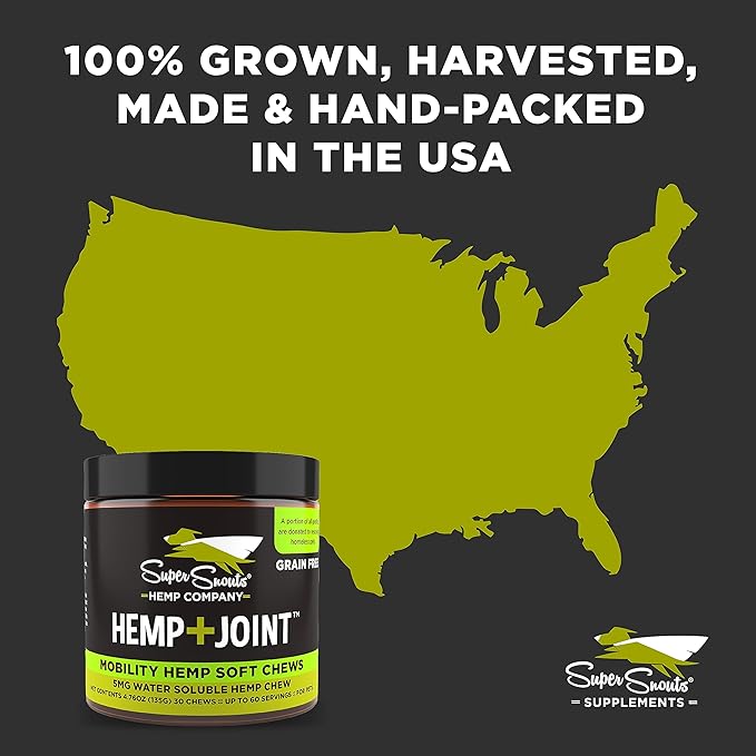 Super Snouts Hemp & Joint Chew for Dogs & Cats, 30 Chews (Up to 60 servings) – Made in USA Hip & Joint Supplement with Green Lipped Mussels, Hemp Helps Calms Joint Inflammation & Relief Joint Pain