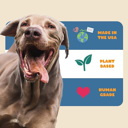 Dog Allergy Relief Chews - Quercetin + Omega 3 - Natural Antihistamine for Itching, Paw Licking, Seasonal and Grass Allergies - for Itchy Skin, Hot Spots, Immune Support