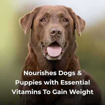 Dyne High Calorie/Weight Gainer Liquid for Dogs, 32 oz - Pack of 2