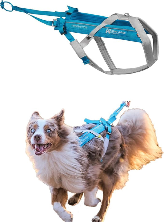 Non-stop dogwear Freemotion harness 5.0 Dog Pulling Harness for Sports like Running, Biking and Skiing with Dogs, Professional Adjustable Dog Harness, Blue/Gray, Size 3