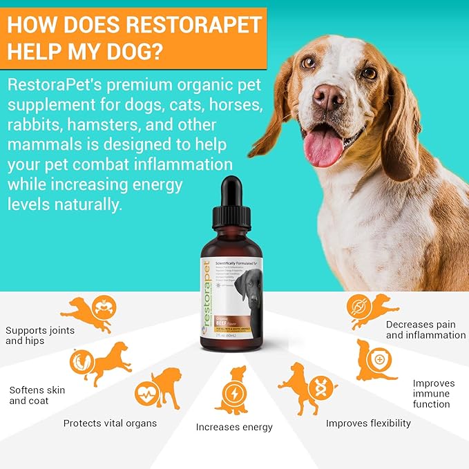 RestoraPet 2-Pack Dog & Cat Beef Liquid Multivitamin | Dog Arthritis Pain Relief | Hip & Joint Vitamins for Dogs - Anti Inflammatory Supplement for Dogs & Cats | Organic & Non-GMO, Vet Approved