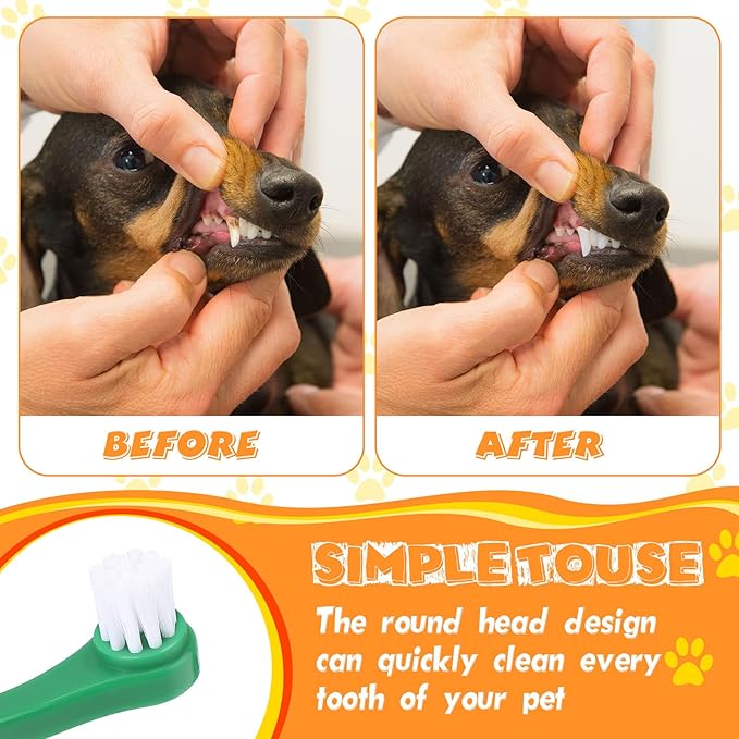 Yinder 12 Pcs Cat Toothbrush Small Dog Toothbrush Mini Head Soft Bristles Dog Tooth Brush Gentle Pet Toothbrush Long Handle Tooth Brush for Puppy Cats Large and Small Dog Dental Care (2 Colors)
