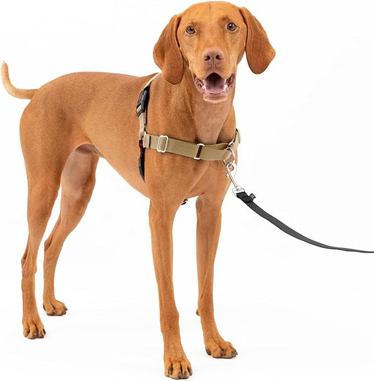 PetSafe Easy Walk Dog Harness - No Pull Dog Harness - Medium, Fawn