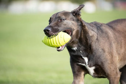 Nerf Dog Rubber Football Dog Toy with Squeaker, Lightweight, Durable and Water Resistant, 7 Inch Diameter for Medium/Large Breeds, Single Unit, Green, Model:6997