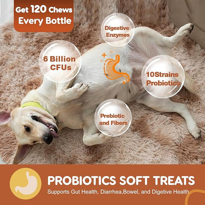Probiotics for Dogs Dog Probiotics for Digestive Enzymes Health with pumpkin, Fish Oil, Enzymes, Supports Gut & Immune & Itchy - 109 Soft Chews