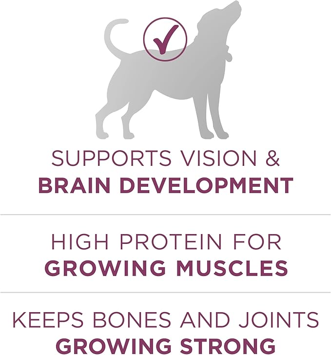 Purina ONE Plus Healthy Puppy Formula High Protein Natural Dry Puppy Food with added vitamins, minerals and nutrients - 8 lb. Bag