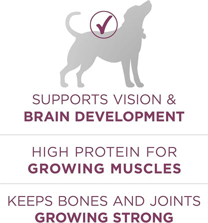 Purina ONE Plus Healthy Puppy Formula High Protein Natural Dry Puppy Food with added vitamins, minerals and nutrients - 8 lb. Bag