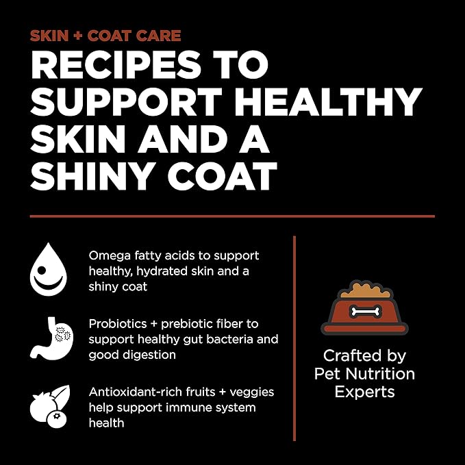 GO! SOLUTIONS Skin + Coat Care Dry Dog Food for Large Breed Adult - Salmon Recipe with Grains - Complete & Balanced Nutrition, 25 lbs