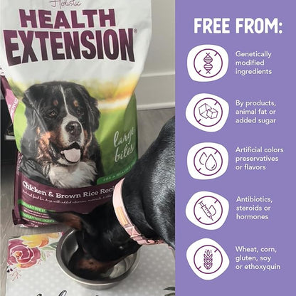 Health Extension Large Bites Dry Dog Food, Natural Food for Adult Large Breed Dogs with added Vitamins & Mineral, Chicken & Brown Rice Recipe (30 lb / 13.6 kg)