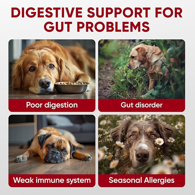 Probiotic Soft Chews for Pets - Support Digestion & Immune System & Itchy Skin