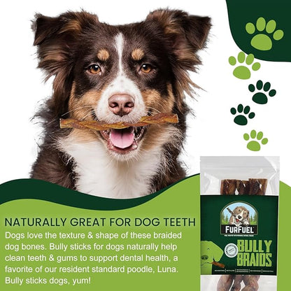 Braided Bully Sticks Variety Pack for Dogs - Suitable for Small, Medium, and Large Breeds – 3 Pack of 6-Inch Dog Bully Sticks - Low Odor, All-Natural Chew (6 Inch, 3 Count)