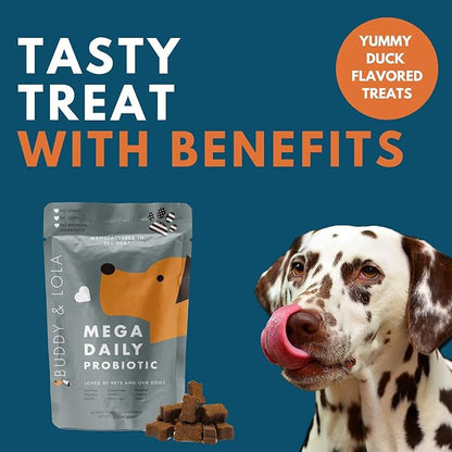 Buddy & Lola Dogs Chews for All Breeds and Sizes - Natural Dog Probiotics Improve Digestion, Help The Immune System, Settle an Upset Stomach Made in USA