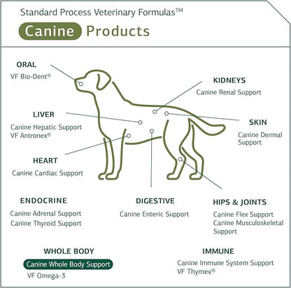 Standard Process - Canine Whole Body Support - Daily Supplement for Dogs - 100 Grams